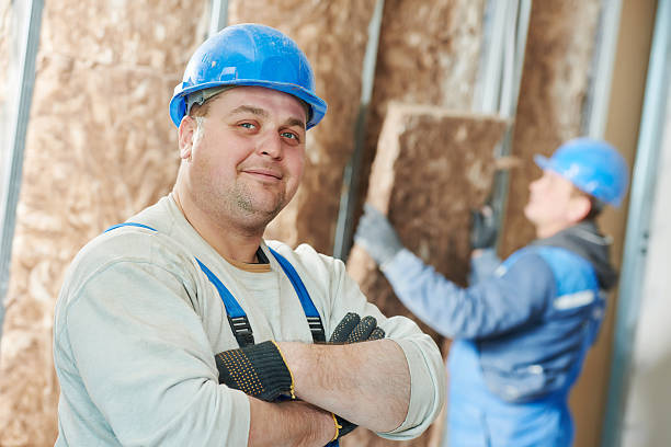 Best Insulation Maintenance and Repair in Mountain Home, ID